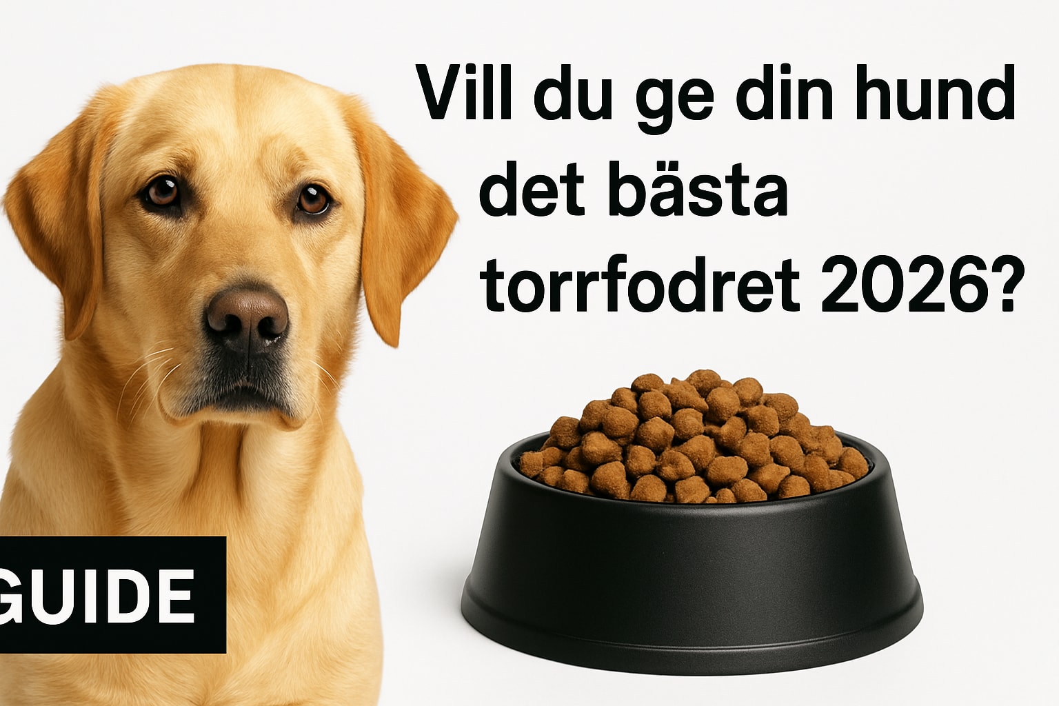 Hund Torrfoder Guide 2026: Välj Rätt Foder Till Din Hund