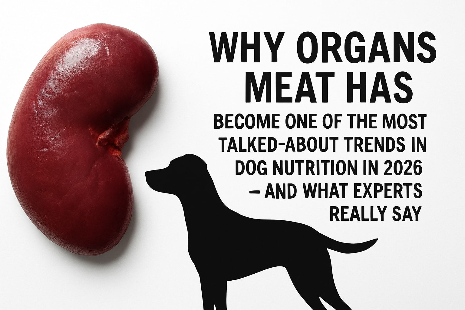 Organ Meat For Dogs Guide: Expert Insights 2026