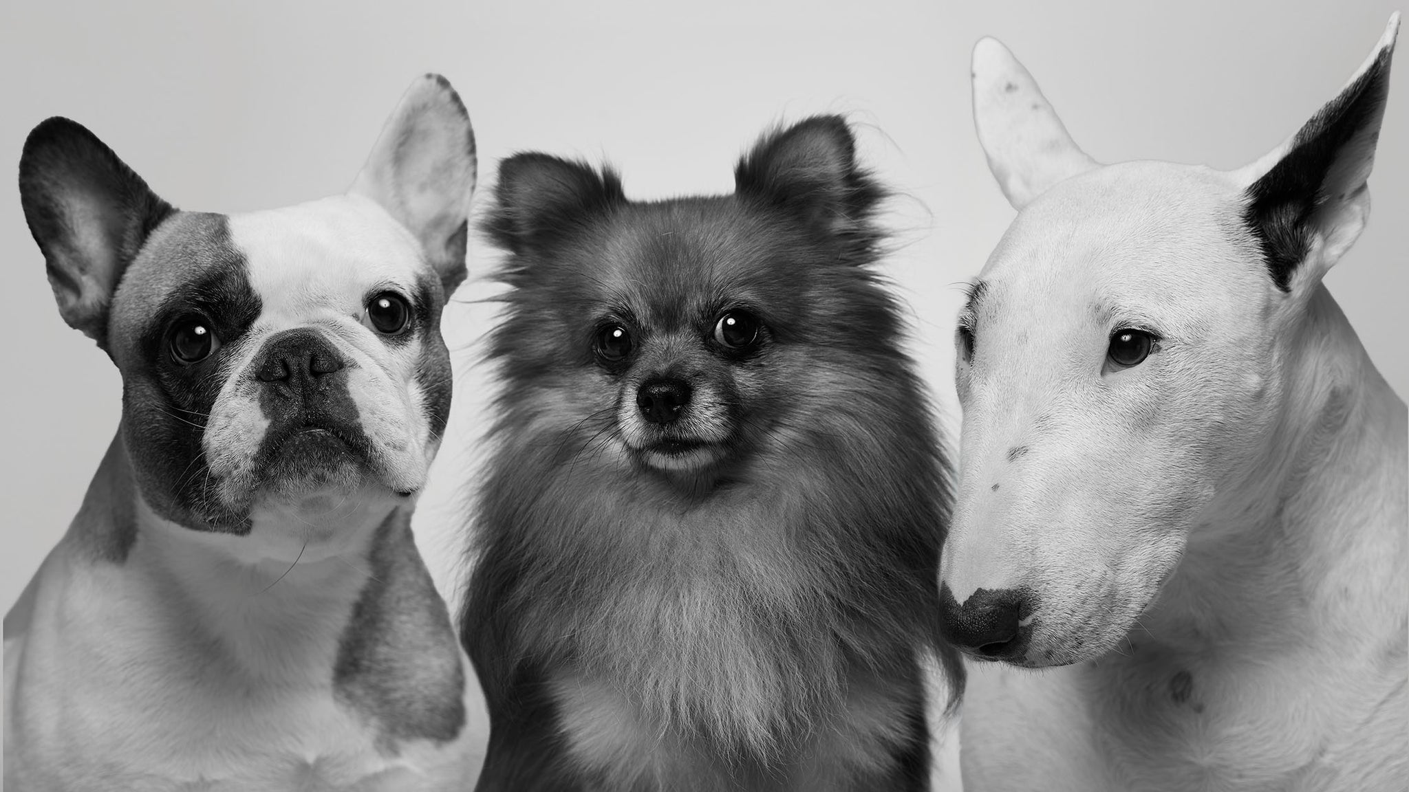 Hitta Din Butik hitta-din-butik